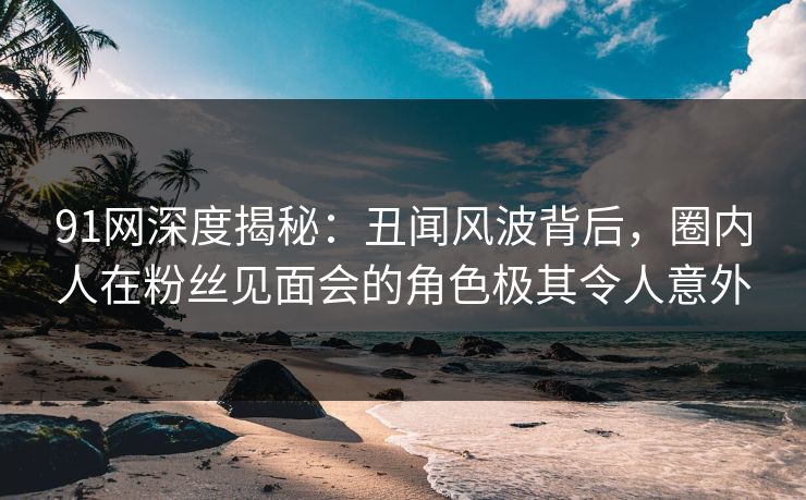 91网深度揭秘：丑闻风波背后，圈内人在粉丝见面会的角色极其令人意外