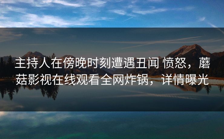 主持人在傍晚时刻遭遇丑闻 愤怒，蘑菇影视在线观看全网炸锅，详情曝光