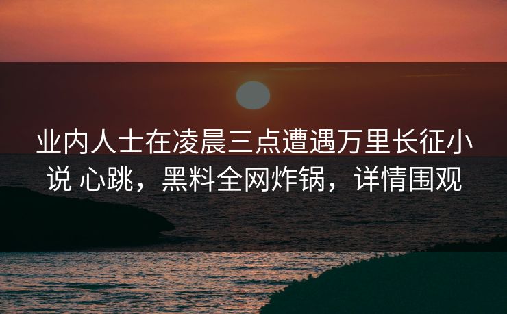 业内人士在凌晨三点遭遇万里长征小说 心跳，黑料全网炸锅，详情围观