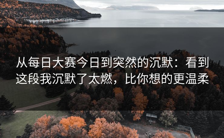 从每日大赛今日到突然的沉默：看到这段我沉默了太燃，比你想的更温柔